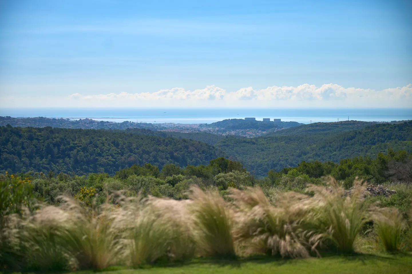 Jardin de la villa Horizon : graminées au premier plan, collines boisées et mer au loin